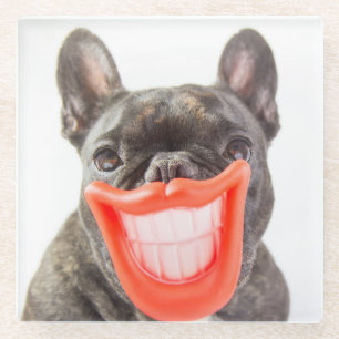 Getty Images A Smiling Dog Glass Coaster