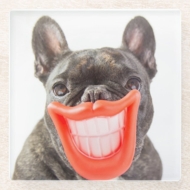 Getty Images | A Smiling Dog Glass Coaster (Front)
