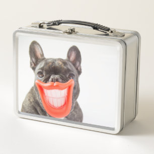 Getty Images A Smiling Dog Metal Lunch Box