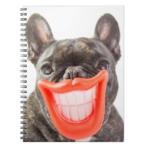 Getty Images A Smiling Dog Notebook