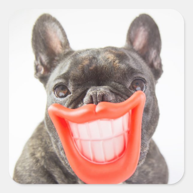 Getty Images | A Smiling Dog Square Sticker (Front)