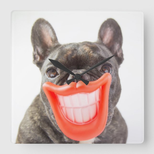 Getty Images | A Smiling Dog Square Wall Clock (Front)