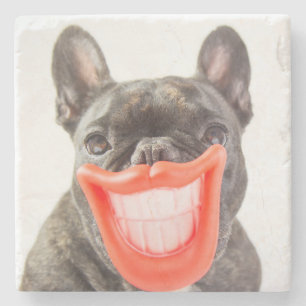 Getty Images A Smiling Dog Stone Coaster