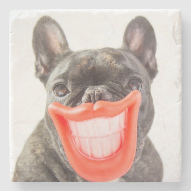 Getty Images | A Smiling Dog Stone Coaster (Front)