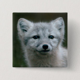 Getty Images Arctic Fox Kit 15 Cm Square Badge