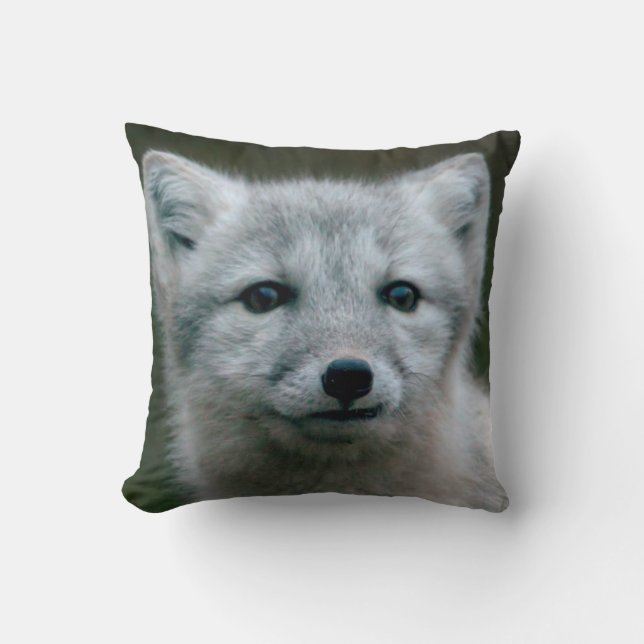 Getty Images | Arctic Fox Kit Cushion (Front)