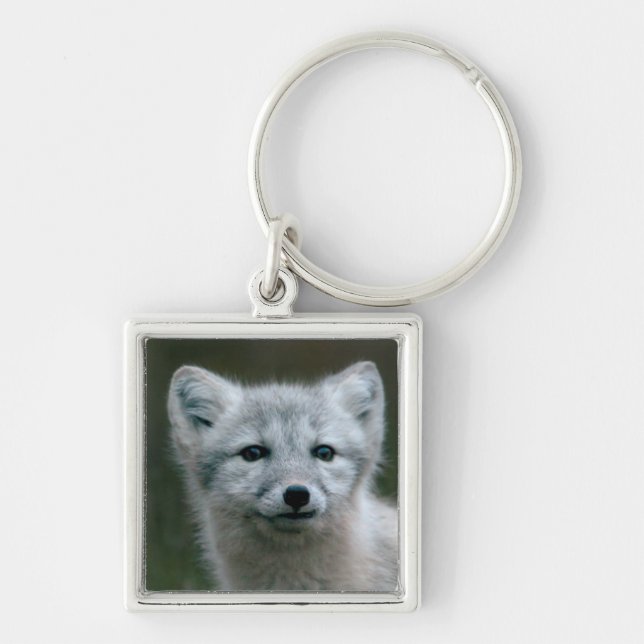 Getty Images | Arctic Fox Kit Key Ring (Front)