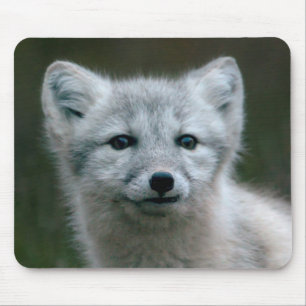 Getty Images   Arctic Fox Kit Mouse Pad