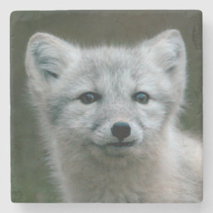 Getty Images Arctic Fox Kit Stone Coaster
