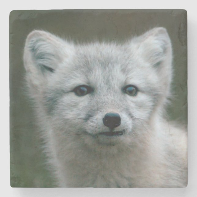 Getty Images | Arctic Fox Kit Stone Coaster (Front)