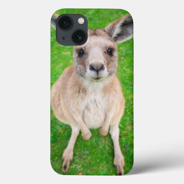 Getty Images | Baby Kangaroo Case-Mate iPhone Case (Back)