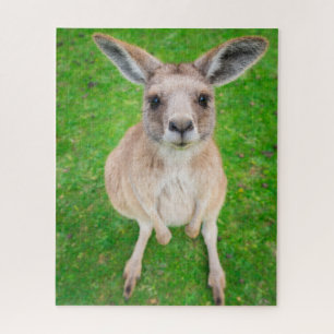 Getty Images   Baby Kangaroo Jigsaw Puzzle