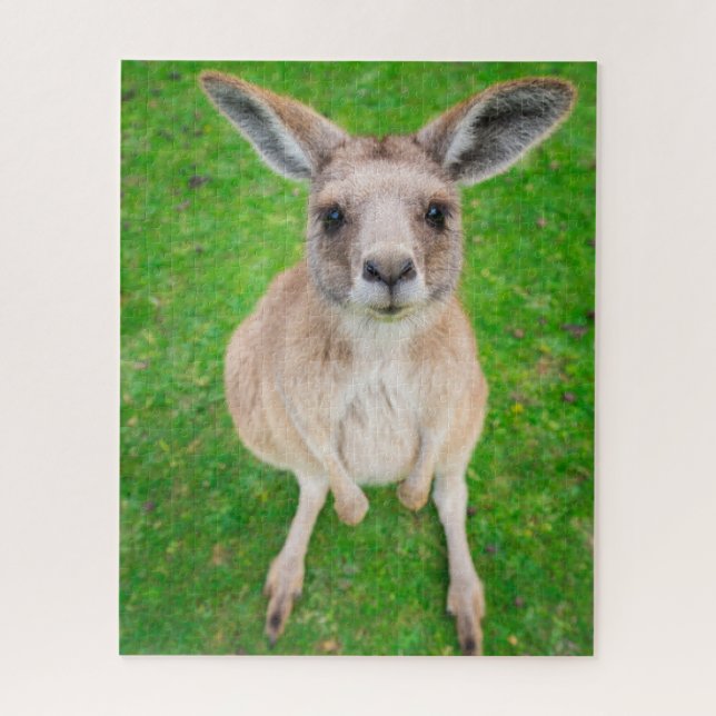 Getty Images | Baby Kangaroo Jigsaw Puzzle (Vertical)