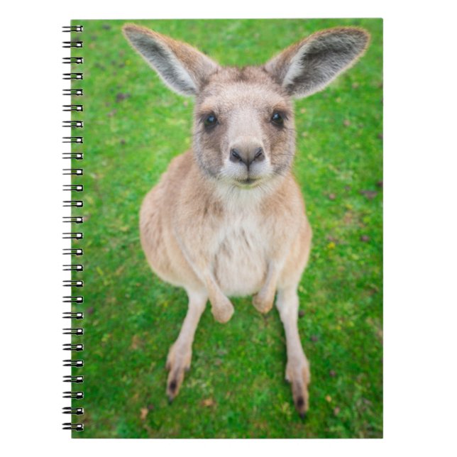 Getty Images | Baby Kangaroo Notebook (Front)