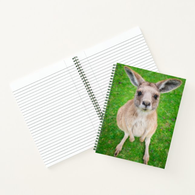 Getty Images | Baby Kangaroo Notebook (Inside)
