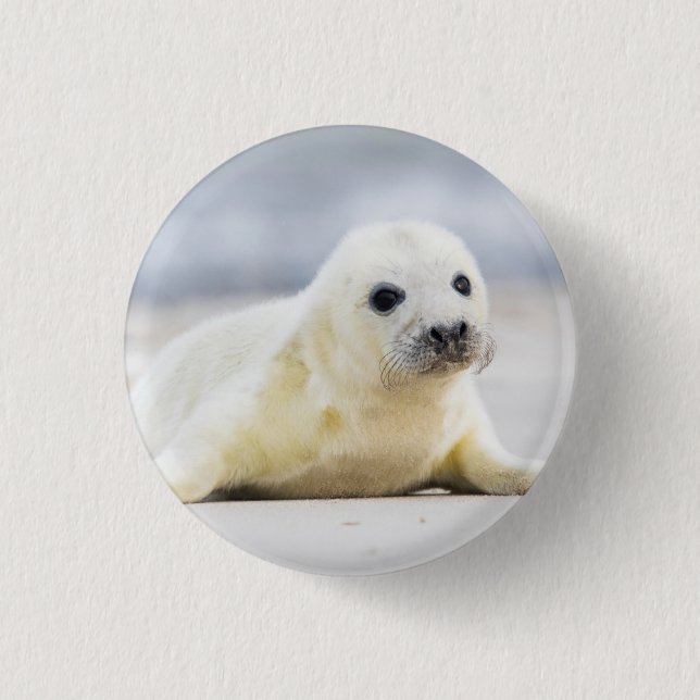 Getty Images | Baby Seal 3 Cm Round Badge (Front)