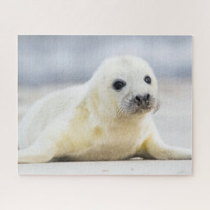 Getty Images   Baby Seal Jigsaw Puzzle