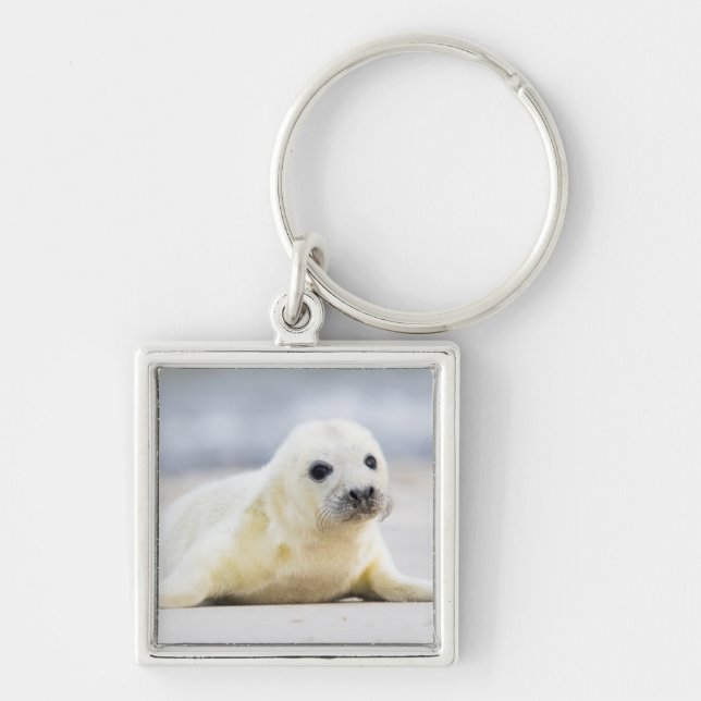 Getty Images | Baby Seal Key Ring (Front)