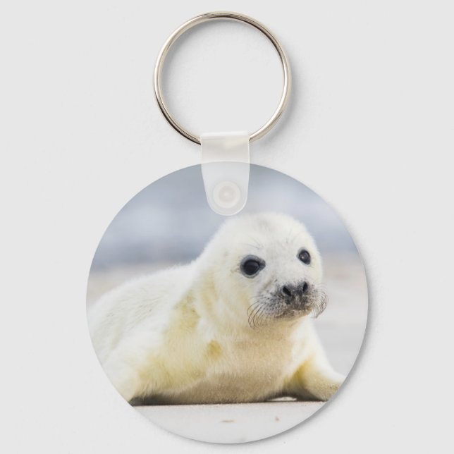 Getty Images | Baby Seal Key Ring (Front)