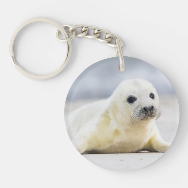 Getty Images | Baby Seal Key Ring (Front)