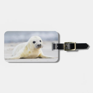 Getty Images Baby Seal Luggage Tag