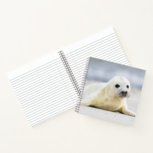Getty Images Baby Seal Notebook