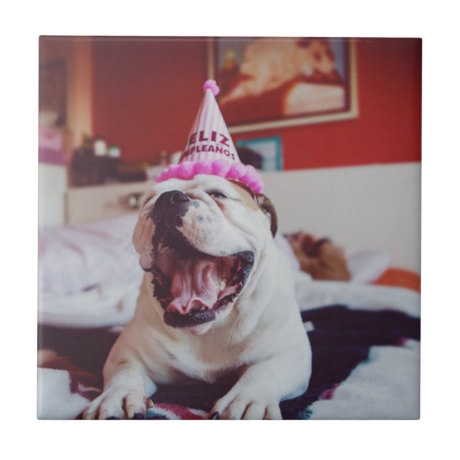 Getty Images | British Bulldog Ceramic Tile (Front)