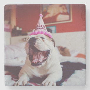 Getty Images British Bulldog Stone Coaster