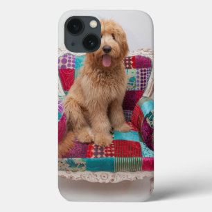 Getty Images Cute Goldendoodle iPhone 13 Case