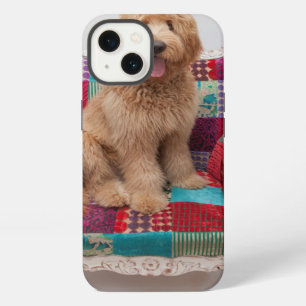 Getty Images Cute Goldendoodle iPhone Case