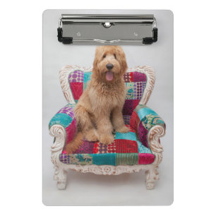 Getty Images Cute Goldendoodle Mini Clipboard