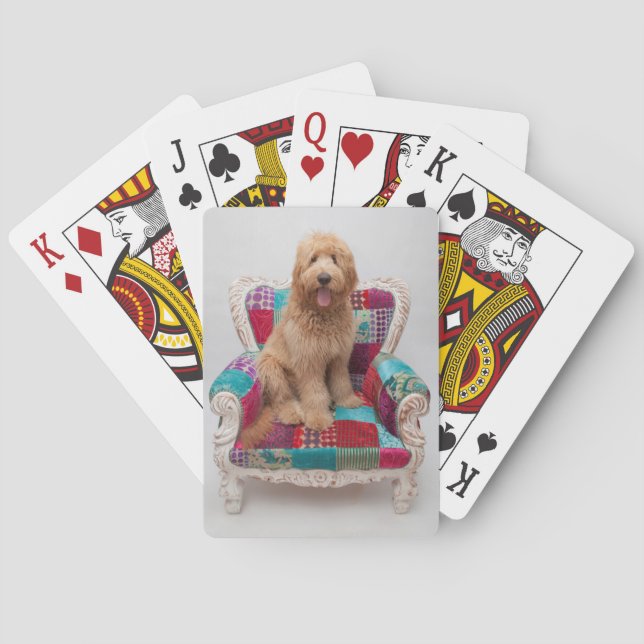 Getty Images | Cute Goldendoodle Playing Cards (Back)