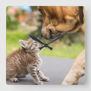Getty Images Dog & Cat In Love Square Wall Clock