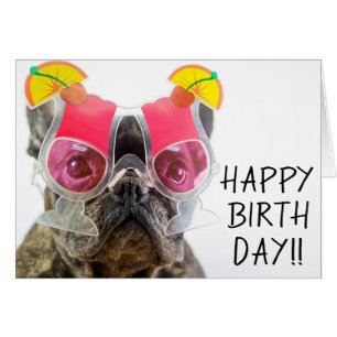 Getty Images Dog With Cocktail Glasses