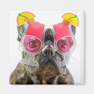 Getty Images Dog With Cocktail Glasses Magnet