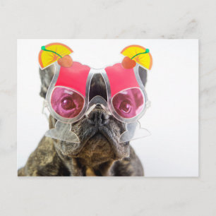 Getty Images   Dog With Cocktail Glasses Postcard