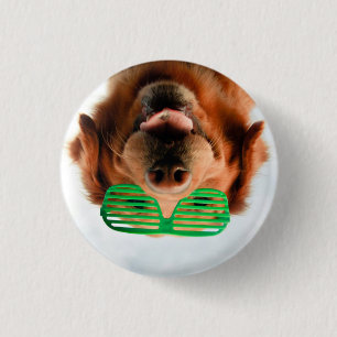 Getty Images Dog With Glasses 3 Cm Round Badge