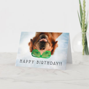Getty Images Dog With Glasses Card