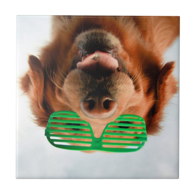 Getty Images | Dog With Glasses Ceramic Tile (Front)