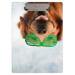 Getty Images Dog With Glasses Clipboard