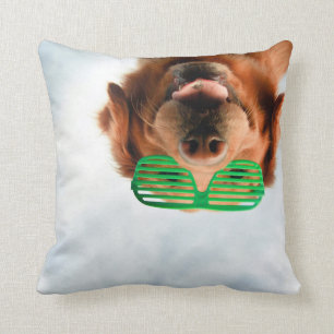 Getty Images Dog With Glasses Cushion