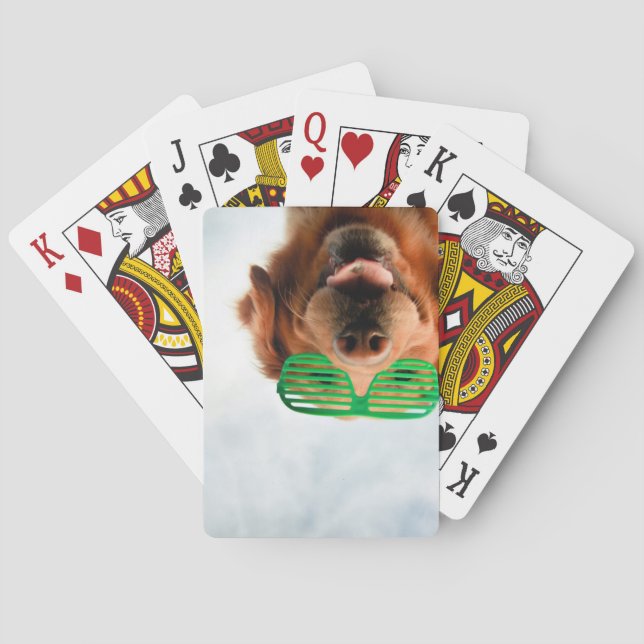 Getty Images | Dog With Glasses Playing Cards (Back)
