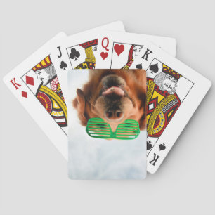 Getty Images   Dog With Glasses Playing Cards