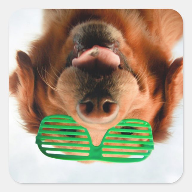 Getty Images | Dog With Glasses Square Sticker (Front)