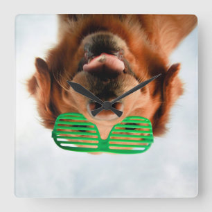 Getty Images Dog With Glasses Square Wall Clock