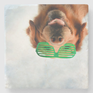 Getty Images Dog With Glasses Stone Coaster