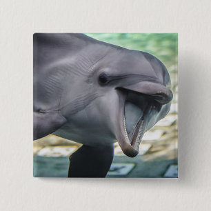 Getty Images Dolphin 15 Cm Square Badge