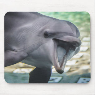 Getty Images   Dolphin Mouse Pad