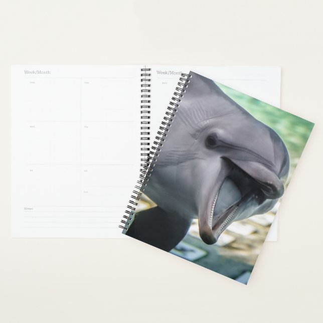 Getty Images | Dolphin Planner (Display)