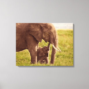 Getty Images Elephant & Baby Canvas Print